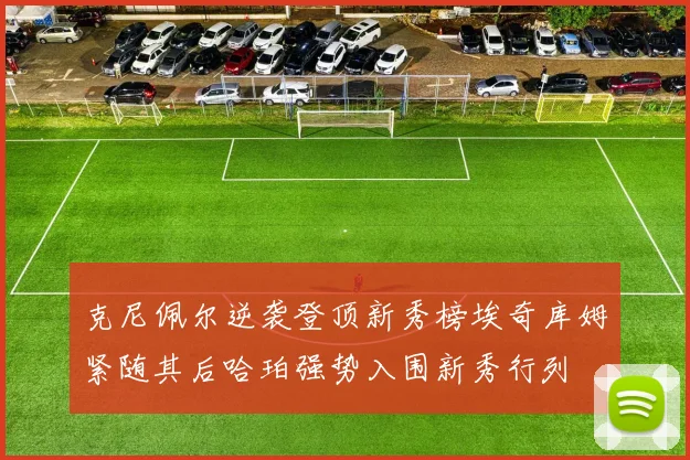 克尼佩尔逆袭登顶新秀榜埃奇库姆紧随其后哈珀强势入围新秀行列