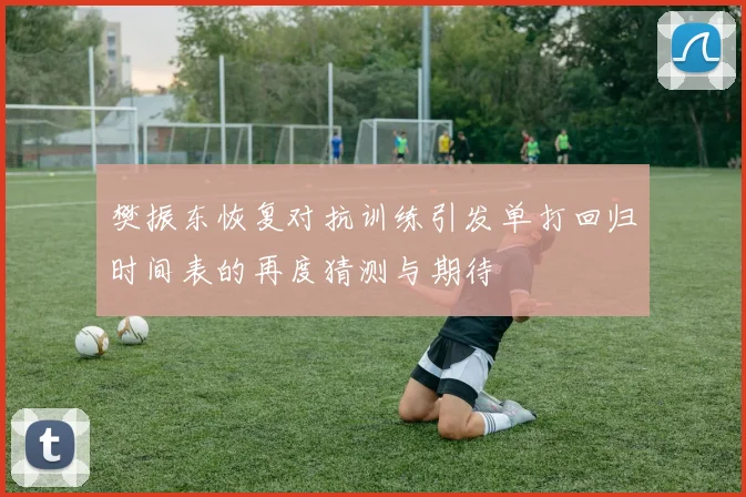 樊振东恢复对抗训练引发单打回归时间表的再度猜测与期待